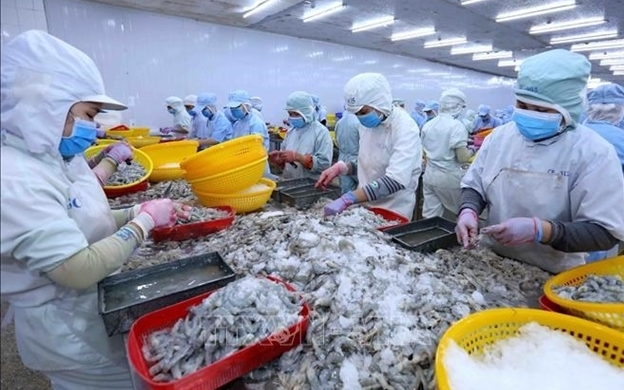 Sao Ta (FMC) thu 11,3 triệu USD trong tháng 2/2024