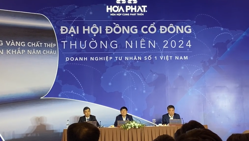 ĐHĐCĐ 2024: Lý do tỷ phú Trần Đình Long đang 'rút dần' khỏi Hòa Phát (HPG)