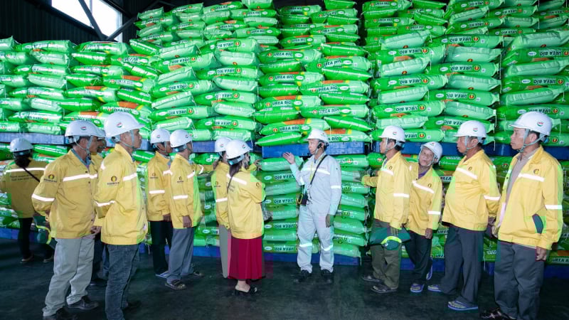 DCM đồng hành cùng nông dân trong chuỗi chương trình 'Tham quan nhà máy - Gặt hái mùa vàng' 