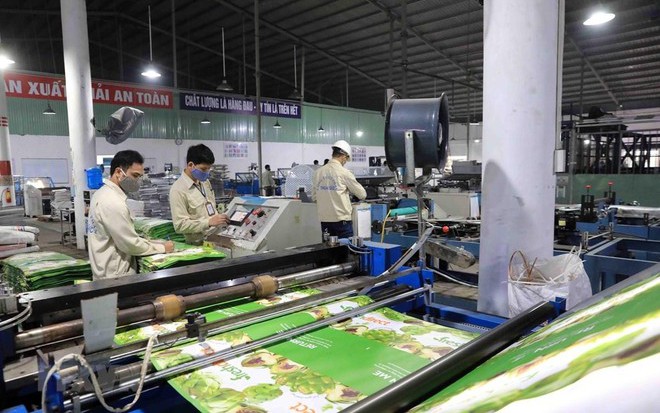 Thuận Đức (TDP) lãi gần 18 tỷ đồng, tăng 70% so với cùng kỳ năm ngoái