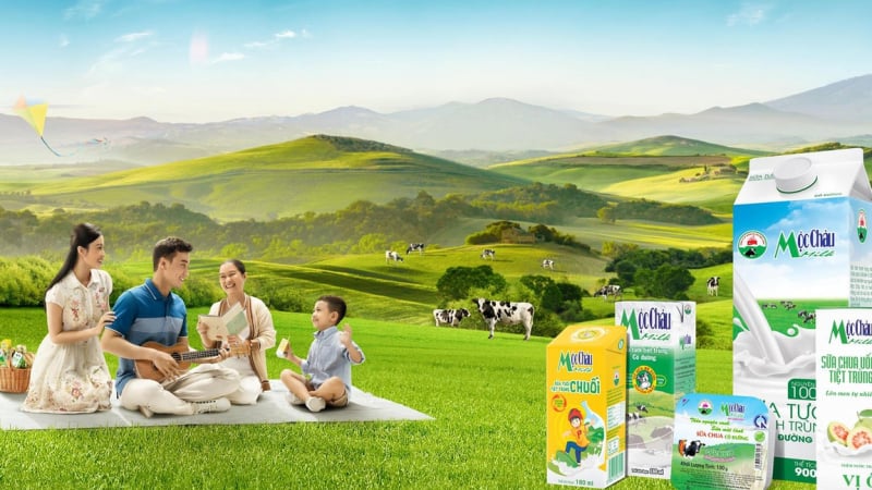 Cổ phiếu MCM của Mộc Châu Milk sẽ 'chào sàn' HoSE từ ngày 25/6, giá tham chiếu 42.800 đồng/cp