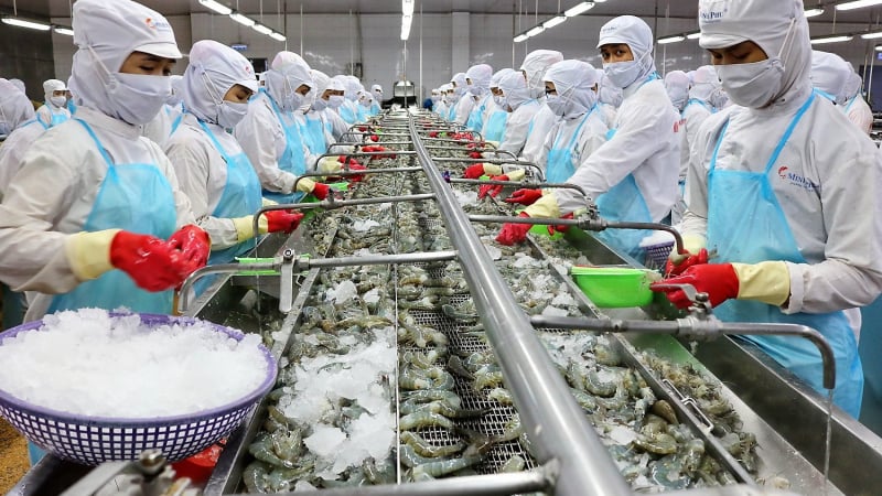 Thủy sản Minh Phú (MPC) trình kế hoạch lãi trước thuế 1.385 tỷ đồng