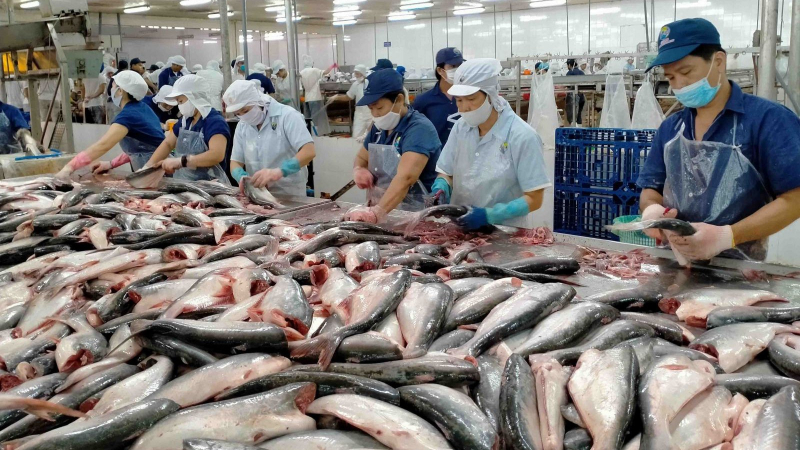 Xuất khẩu cá tra sang Nga tăng 6,5 lần, Nam Việt và Hùng Cá lọt top 5 DN xuất khẩu nhiều nhất
