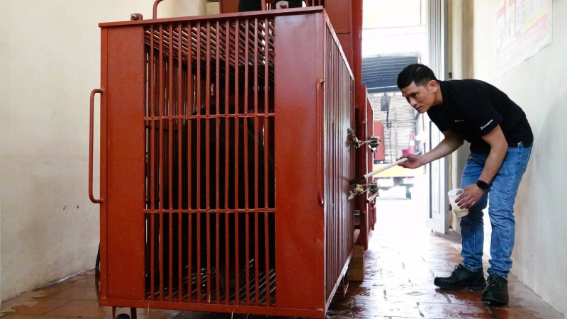 Cục Kiểm lâm chỉ đạo 'nóng' sau bài viết rao bán mật gấu tại làng nuôi nhốt gấu lớn nhất Thủ đô