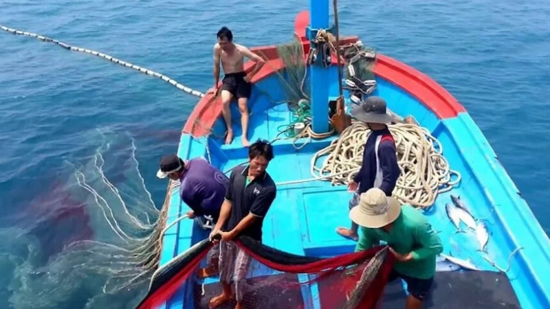Khó khăn gỡ thẻ vàng IUU và câu chuyện gần 60% ngư dân chỉ học hết cấp I, nhiều người mù chữ 