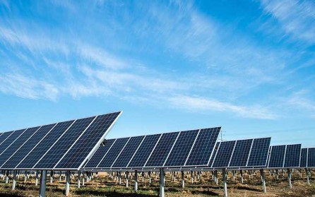 Vì sao lợi nhuận Bất động sản Trường Thành (TEG) 'bốc hơi' 32% sau kiểm toán?