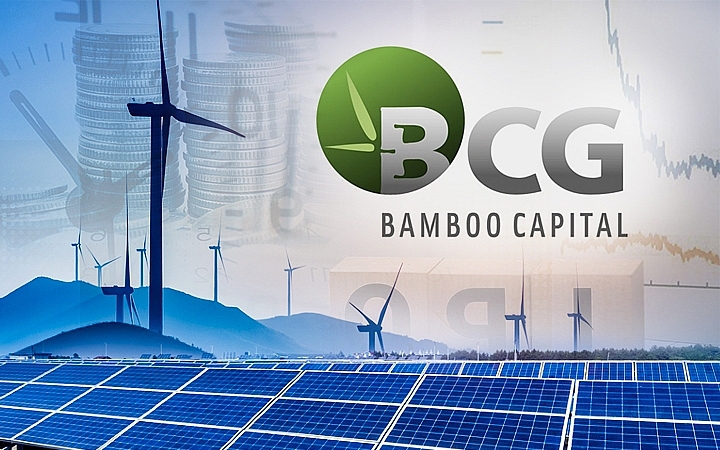 Bamboo Capital (BCG) rót vốn thành lập công ty con về trồng rừng