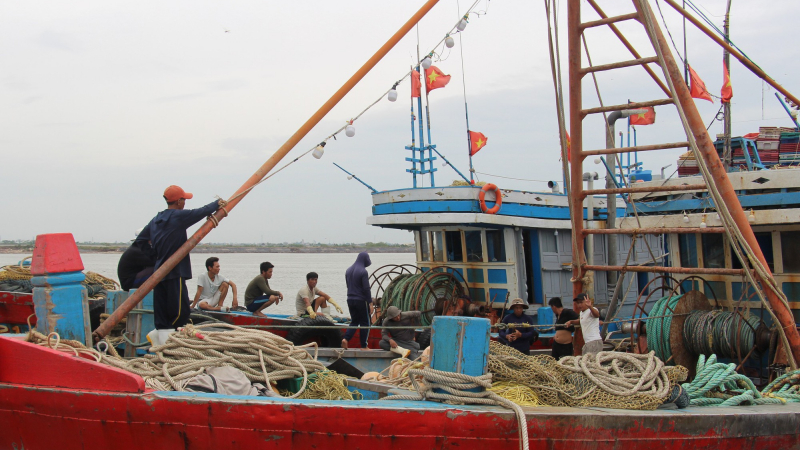 Nam Định mạnh tay xử phạt 108 vụ vi phạm trong khai thác thủy sản, quyết chung tay gỡ 'thẻ vàng IUU'