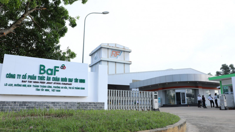 BaF Việt Nam nhận chuyển nhượng 40% vốn của một DN trồng cao su ở Đắk Lắk