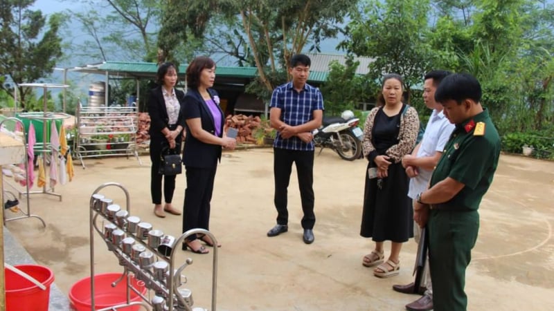 danviet.vn