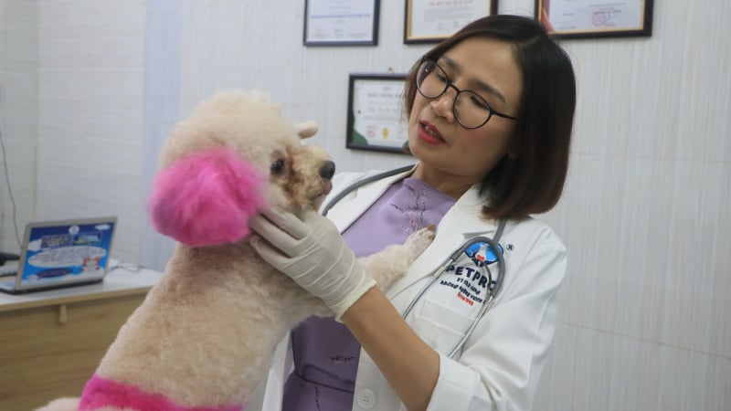 Nữ CEO hệ thống bệnh viện thú y hàng đầu TP.HCM và câu chuyện cảm động phía sau
