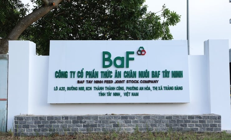 Công ty chăn nuôi thứ 9 về tay BAF, mục tiêu đưa 10 triệu lợn thương phẩm ra thị trường