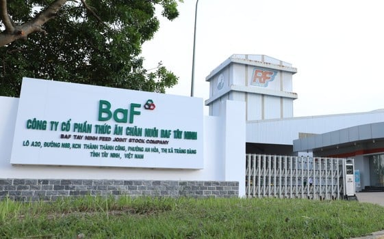 Hai 'ông lớn' ngành chăn nuôi báo lãi 'khủng' nhờ giá lợn tăng cao, Dabaco gấp 31 lần, BaF Việt Nam tăng 684%