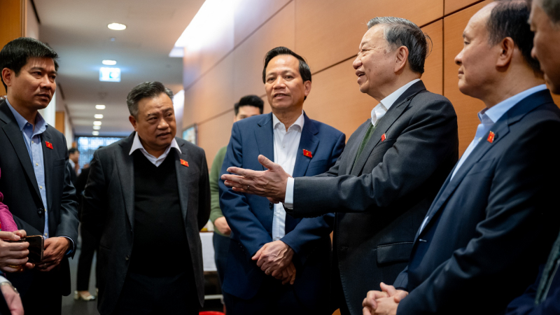 danviet.vn