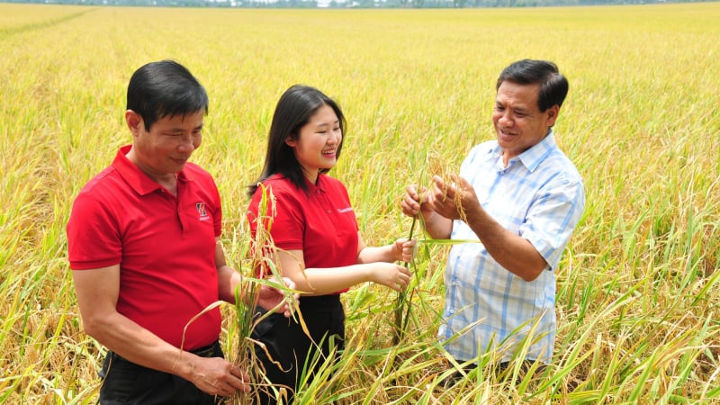 Agribank - 37 năm giữ lửa 'Tam nông', bứt phá vào kỷ nguyên mới