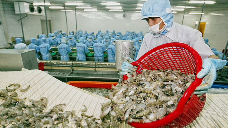 EU bổ sung mức dư lượng tối đa asen vô cơ trong cá và các loài thủy sản