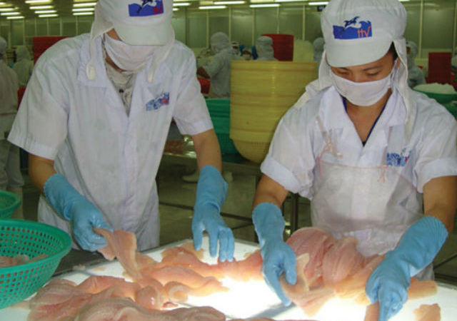 Cổ phiếu nông nghiệp: Bị nhắc nhở, cổ phiếu HVG vẫn tăng kịch trần