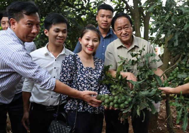 Khách hàng của hạt mắc-ca sẽ chủ yếu là Trung Quốc?