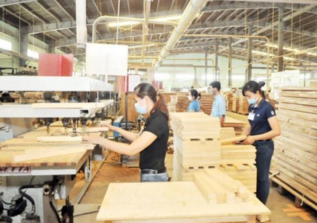 Gia đình ông chủ Gỗ Trường Thành còn bao nhiêu cổ phiếu TTF?