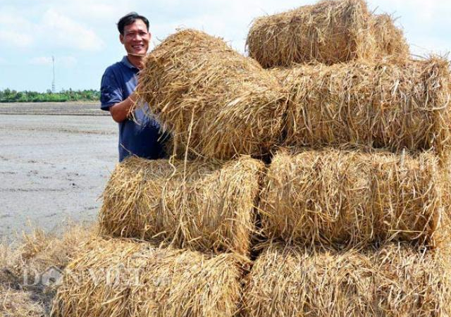 danviet.vn