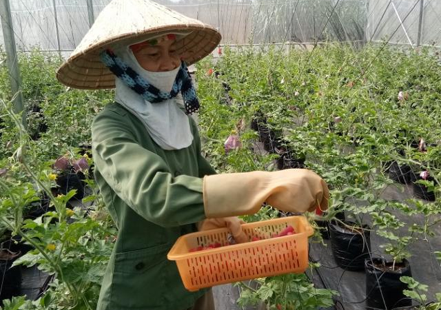 Quản lý tốt chi phí, SSC đạt lợi nhuận sau thuế gần 47 tỷ đồng