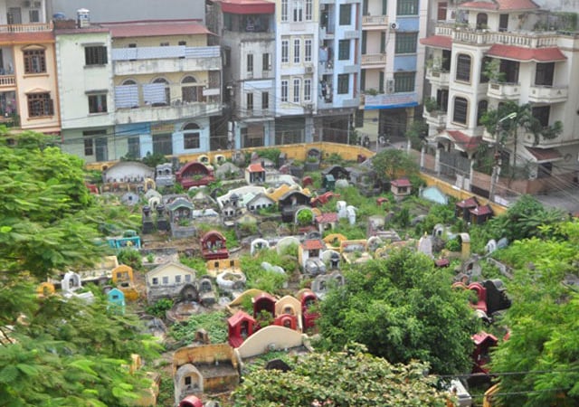 danviet.vn