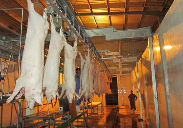 Mitraco đột phá phát triển chăn nuôi theo chuỗi