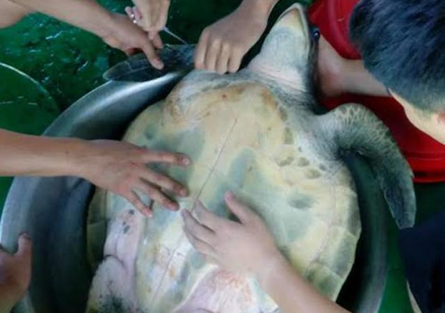 Ly kỳ chuyện bộ đội cấp cứu vích biển tại Hoàng Sa