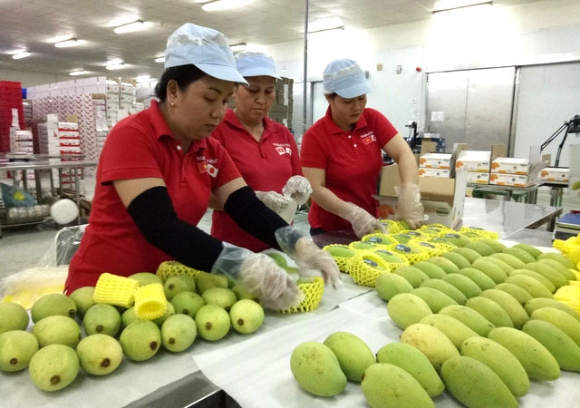 Làm thế nào để nông sản Việt tận dụng các FTA, ra thị trường thế giới?