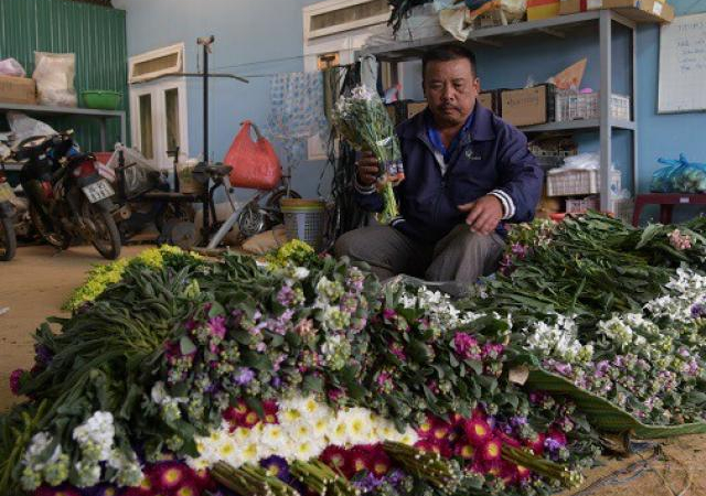 Đà Lạt: Một nông dân lời hàng tỷ đồng/năm từ 5ha trồng đủ thứ hoa