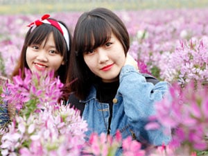Vườn hoa đẹp nhất Hà Nội “hút“ chân giới trẻ Hà thành