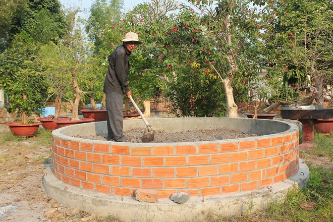 Vườn kiểng độc của chủ nhân cặp khế 7 tỷ đồng hình ảnh 9 vuon kieng doc cua chu nhan cap khe 7 ty dong hinh anh 9