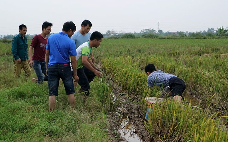 Để vồ chuột cũng phải đòi hỏi những kỹ năng như quan sát dấu vết đường đi, phát hiện hang chuột... cho đến kỹ năng khi vồ chuột sao cho không để bị cắn. 