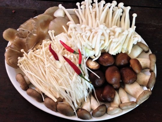 Các loại nấm ăn cùng lẩu gà.