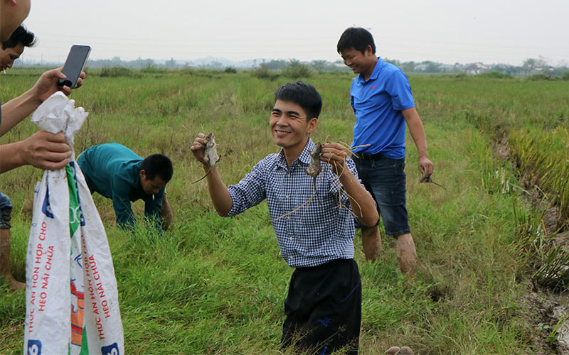 Cùng một cú vồ, Bùi Văn Hưng (32 tuổi) bắt được 2 chuột đồng, anh cho biết nếu để chuột cắn chảy máu có thể nhiễm bệnh do một số virus truyền bệnh gây ra nên phải ghì thật chắc chuột xuống đất khi vồ trúng, sau đó lựa tay nắm phần gáy chuột và tuyệt đối không nắm đuôi để tránh chuột quay lại cắn.