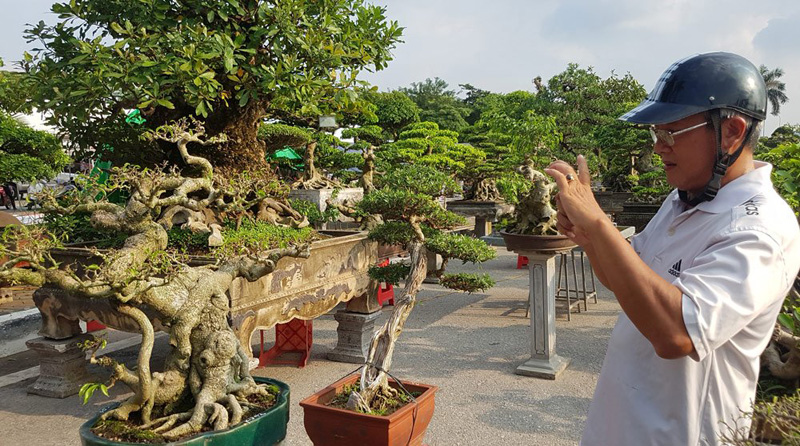 Một người khách mê mẩn bên những tác phẩm đặc sắc Một người khách mê mẩn bên những tác phẩm đặc sắc