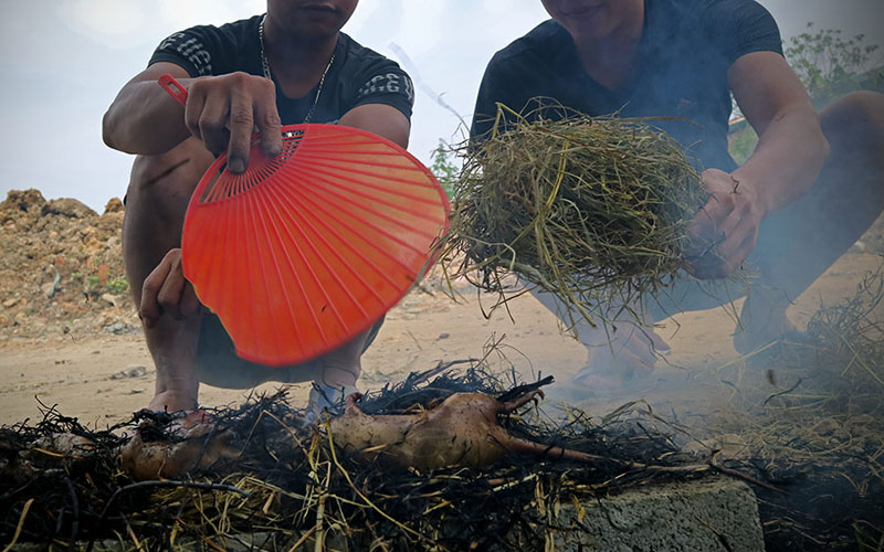 Sau khi làm sạch lông, chuột được thui rơm.