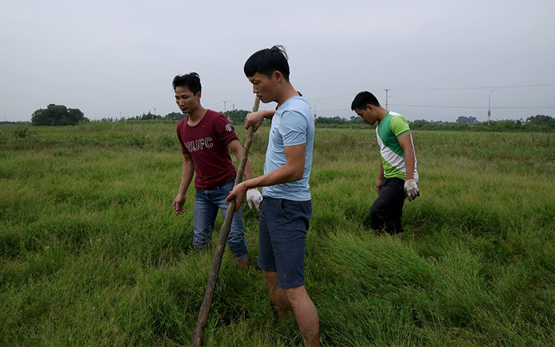 Bằng những kinh nghiệm được truyền từ ông cha, việc săn chuột khá dễ dàng với những thanh niên Thạch Thán.