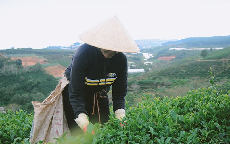 Tùy mùa mà người công nhân Cầu Đất sẽ chọn thời điểm để bắt đầu công việc nhưng họ sẽ kết thúc khi mặt trời xuống núi.