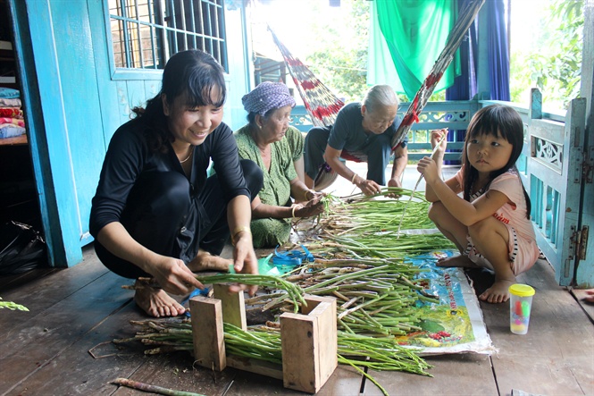 Măng tây xanh thu hoạch xong được cắt tỉa gọn gàng trước khi giao cho khách hàng. Măng tây xanh thu hoạch xong được cắt tỉa gọn gàng trước khi giao cho khách hàng.