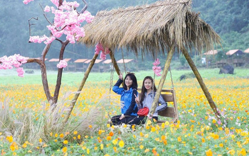 Đặt chân đến đây, du khách được đắm chìm trong không gian rực rỡ trải dài của loài hoa lãng mạn khiến ai ra về lòng cũng đầy lưu luyến. Ảnh: Lê Minh Huệ Đặt chân đến đây, du khách được đắm chìm trong không gian rực rỡ trải dài của loài hoa lãng mạn khiến ai ra về lòng cũng đầy lưu luyến. Ảnh: Lê Minh Huệ