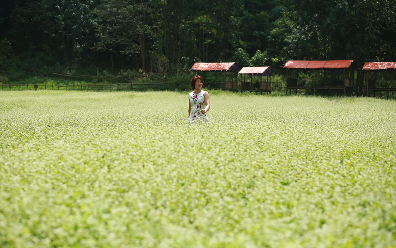 Thung lũng hoa Bắc Sơn nằm ở thôn Lân Khoang, xã Trấn Yên, huyện Bắc Sơn (Lạng Sơn) những ngày này trở nên thơ mộng và quyến rũ hơn bao giờ hết bởi những luống hoa bạt ngàn đa sắc màu khiến bất kỳ ai lạc vào cũng khó lòng rời bước. Ảnh: Tô Thị Thu Sen Thung lũng hoa Bắc Sơn nằm ở thôn Lân Khoang, xã Trấn Yên, huyện Bắc Sơn (Lạng Sơn) những ngày này trở nên thơ mộng và quyến rũ hơn bao giờ hết bởi những luống hoa bạt ngàn đa sắc màu khiến bất kỳ ai lạc vào cũng khó lòng rời bước. Ảnh: Tô Thị Thu Sen