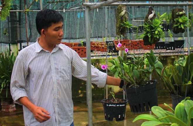 Với mỗi giống phong lan đều cho ra mặt hoa khác nhau nhưng có thể cùng chung tên gọi. Với mỗi giống phong lan đều cho ra mặt hoa khác nhau nhưng có thể cùng chung tên gọi.