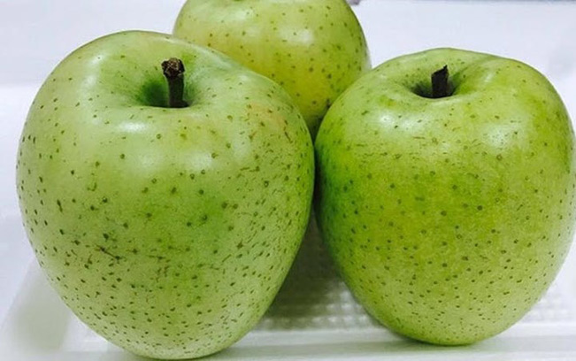 Vỏ táo Orin có màu xanh ngả vàng. Giống táo này khi chín không có màu xanh hay màu đỏ tươi như những loại táo khác nên rất dễ nhận ra. (Ảnh:traicaydungmap) Vỏ táo Orin có màu xanh ngả vàng. Giống táo này khi chín không có màu xanh hay màu đỏ tươi như những loại táo khác nên rất dễ nhận ra. (Ảnh:traicaydungmap)