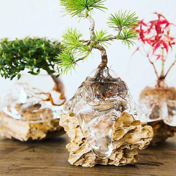 Các chậu Aqua Bonsai có thể được trưng trên mặt phẳng, hoặc bày trên các đế gỗ/ đá như thế này để thêm phần nghệ thuật. Các chậu Aqua Bonsai có thể được trưng trên mặt phẳng, hoặc bày trên các đế gỗ/ đá như thế này để thêm phần nghệ thuật.