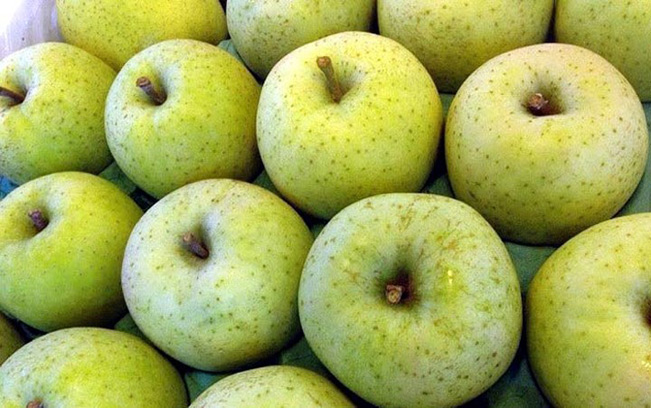 Táo Orin Nhật có giá bán khoảng 300.000 đồng/kg nhưng vẫn khiến nhiều chị em nội trợ mê mẩn bởi mùi thơm đậm đà, thích hợp để làm sinh tố, nấu bánh và salad. (Ảnh:traicaydungmap) Táo Orin Nhật có giá bán khoảng 300.000 đồng/kg nhưng vẫn khiến nhiều chị em nội trợ mê mẩn bởi mùi thơm đậm đà, thích hợp để làm sinh tố, nấu bánh và salad. (Ảnh:traicaydungmap)