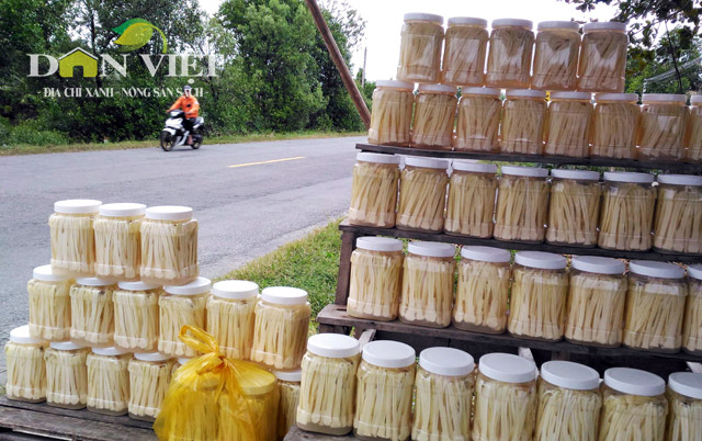 gion ngon dua bon bon dac san dat mui hinh anh 6