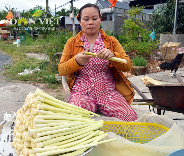 gion ngon dua bon bon dac san dat mui hinh anh 3