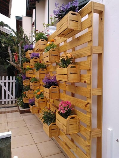 cách trồng rau sạch, vườn rau nhà phố, vườn rau ban công, khu vườn tại gia, tấm pallet