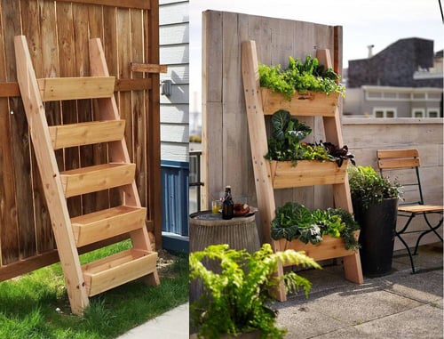 cách trồng rau sạch, vườn rau nhà phố, vườn rau ban công, khu vườn tại gia, tấm pallet